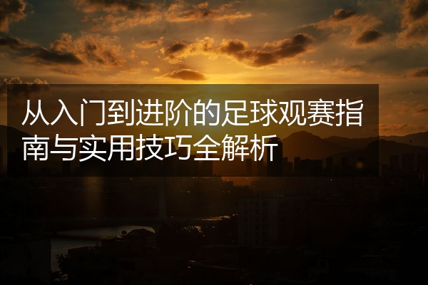 从入门到进阶的足球观赛指南与实用技巧全解析